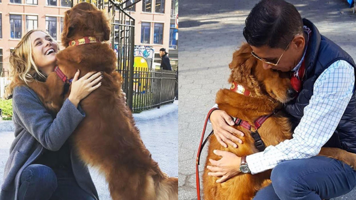 WEB3 LOUBIE DOG HUG NEW YORK