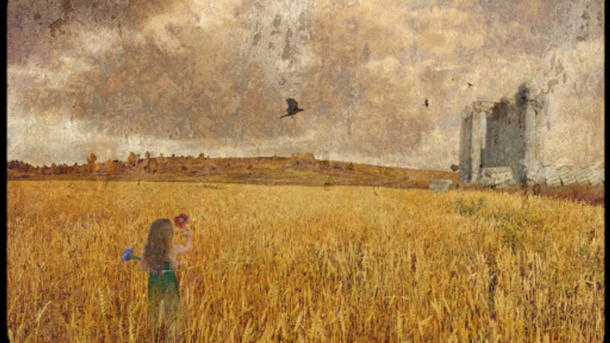 Parable of the sower Lawria