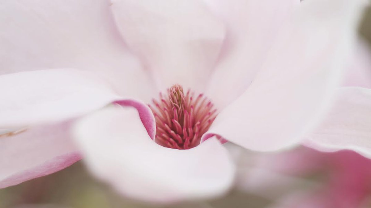 unnamed-2