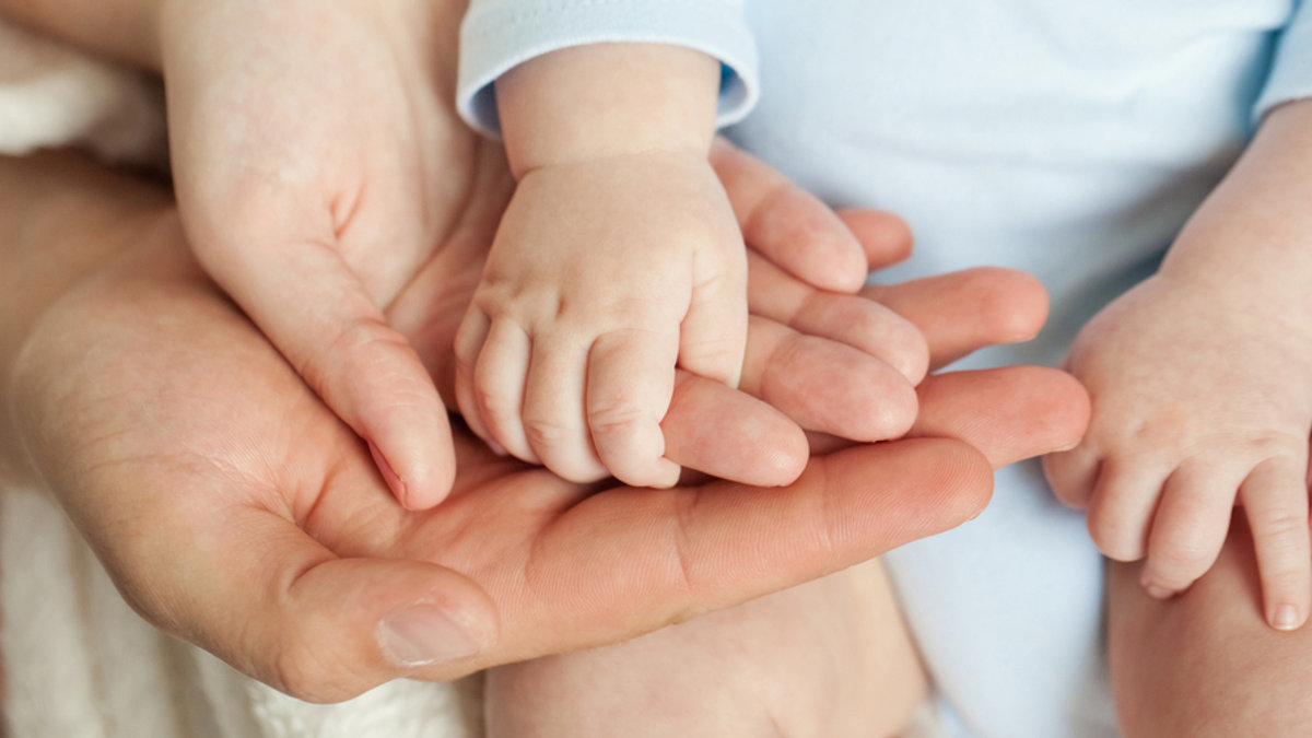 HANDS FAMILY