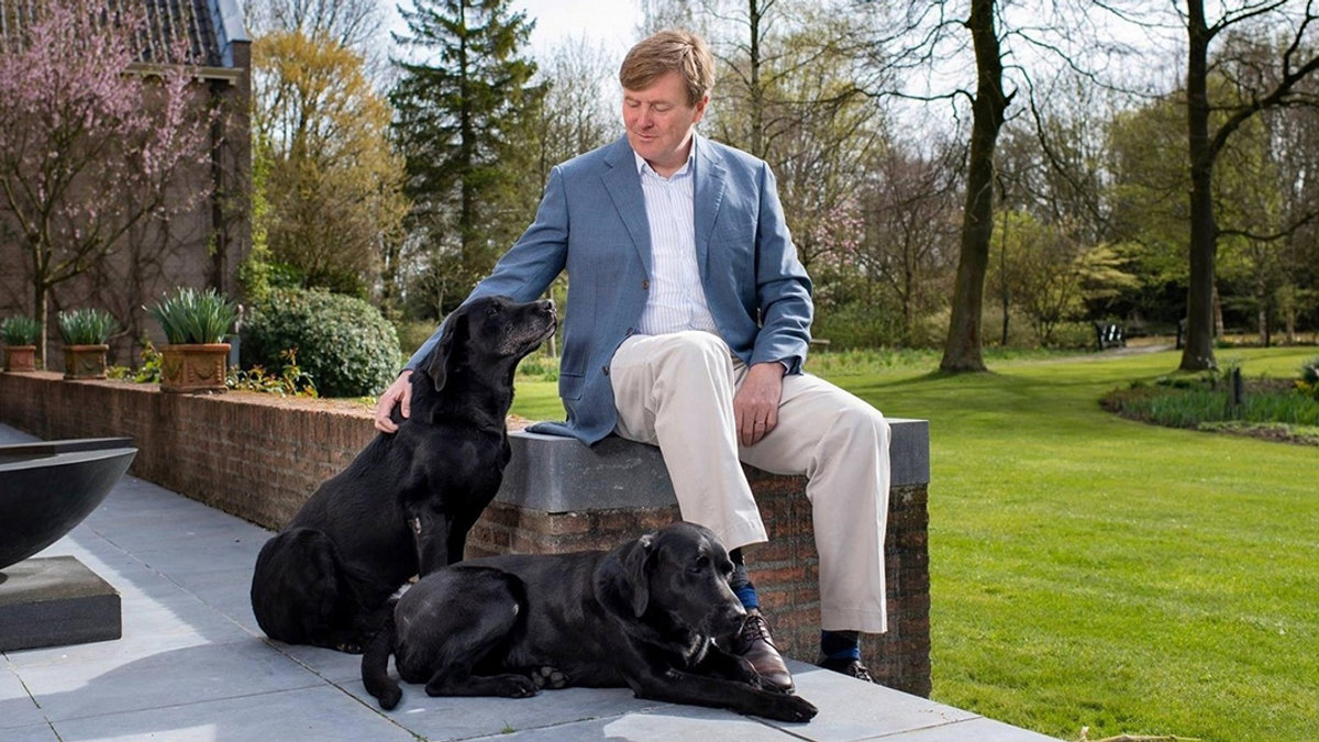 web3-king-willem-alexander-holand-facetoface-reporter