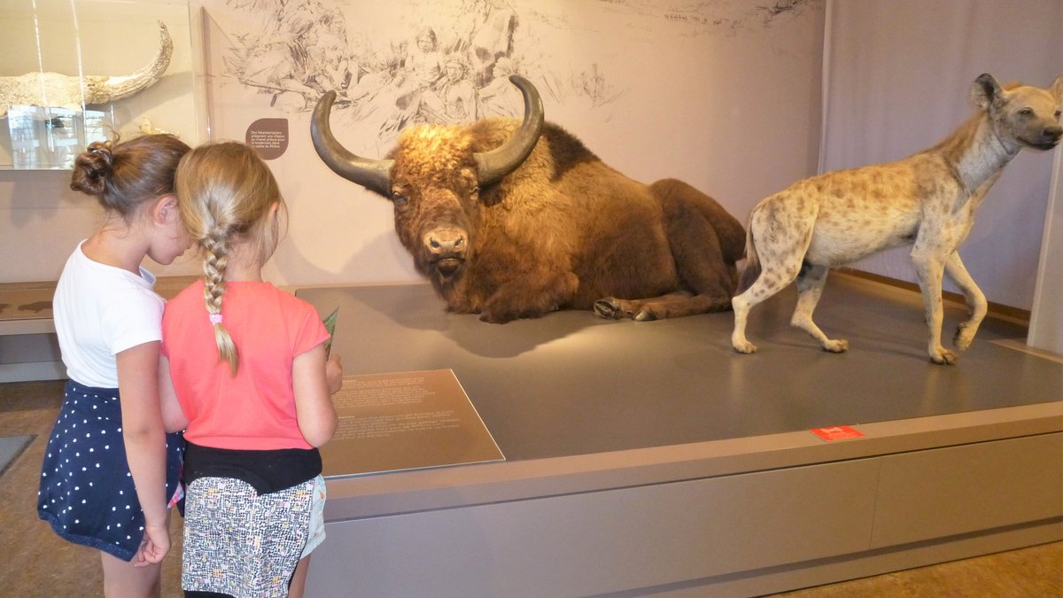 ENFANTS DANS UN SITE ARCHEOLOGIQUE