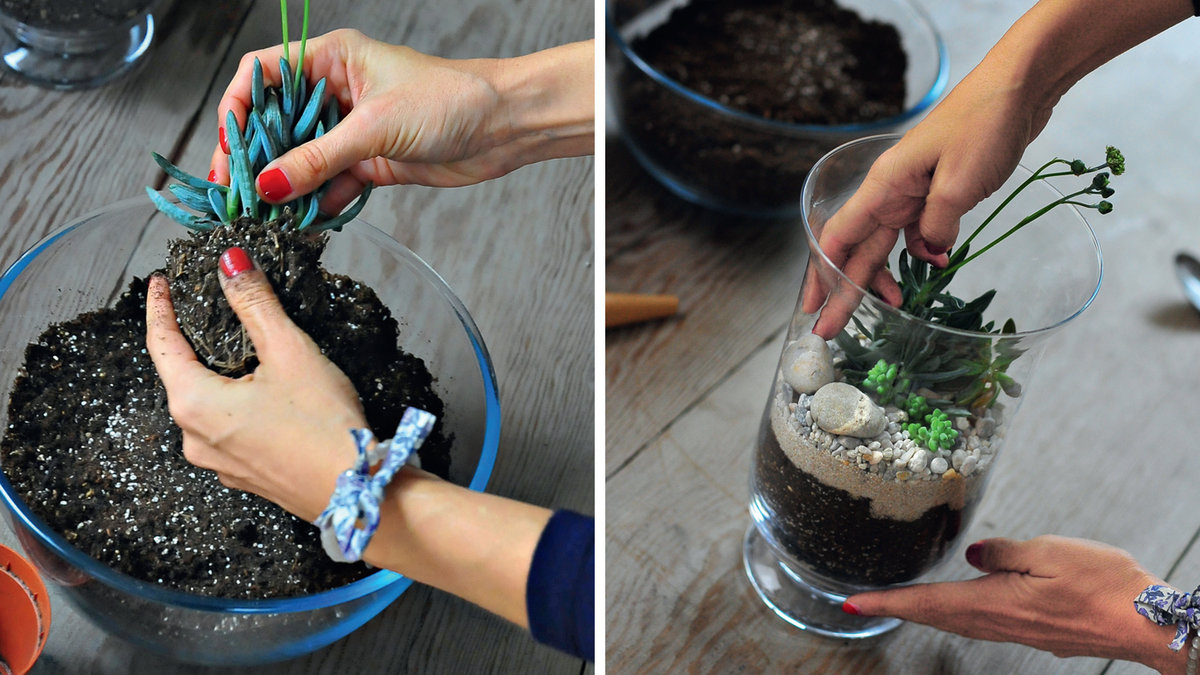 TERRARIUM