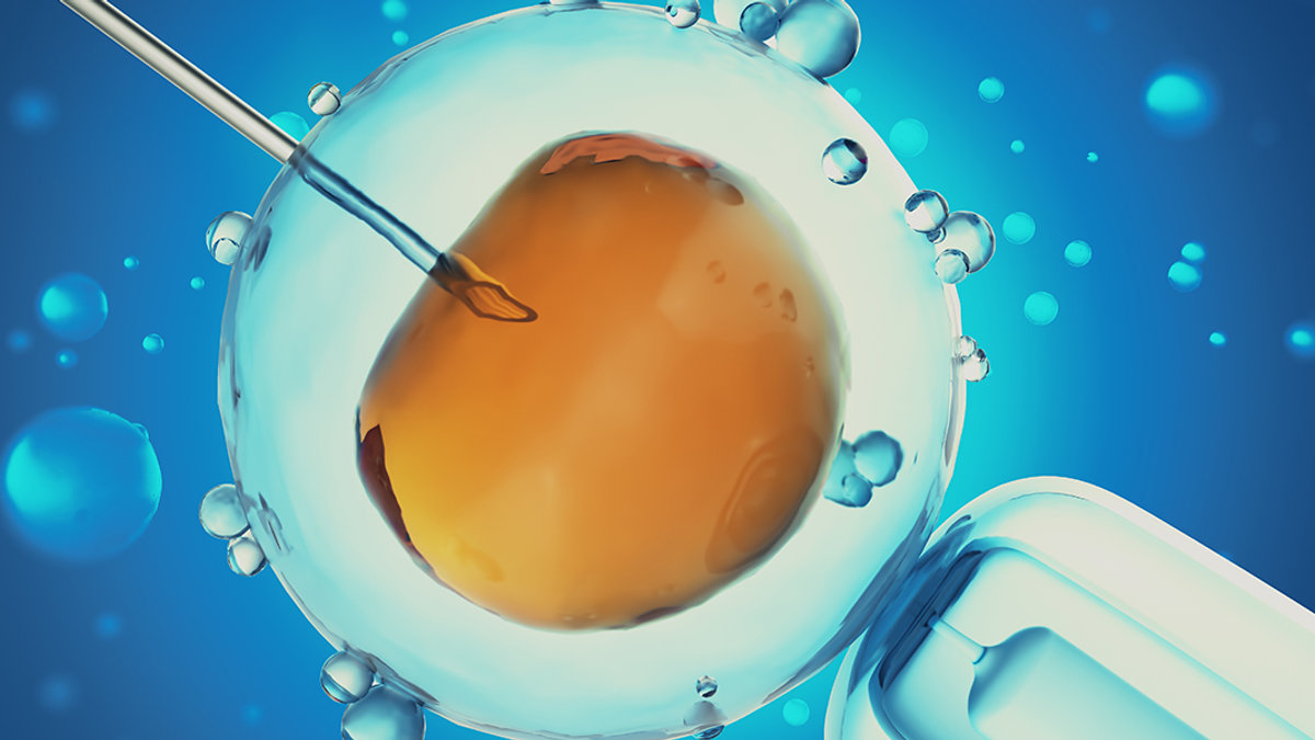 Grafika 3D prezentująca proces in-vitro