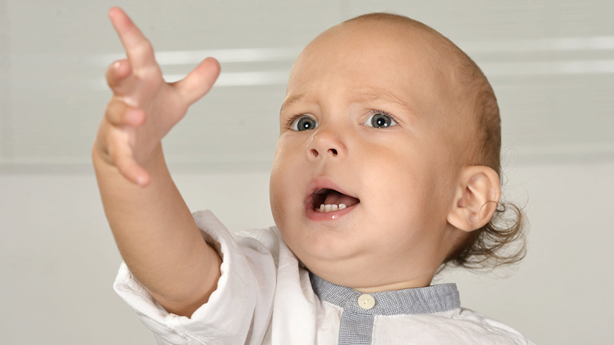 WEB3-TODDLER-BOY-BLONDE-STUDIO-REACHING-CHILD-YOUNG-shutterstock_150252089-Shutterstock