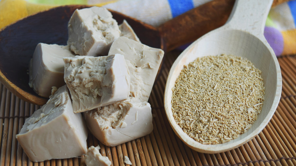 yeast