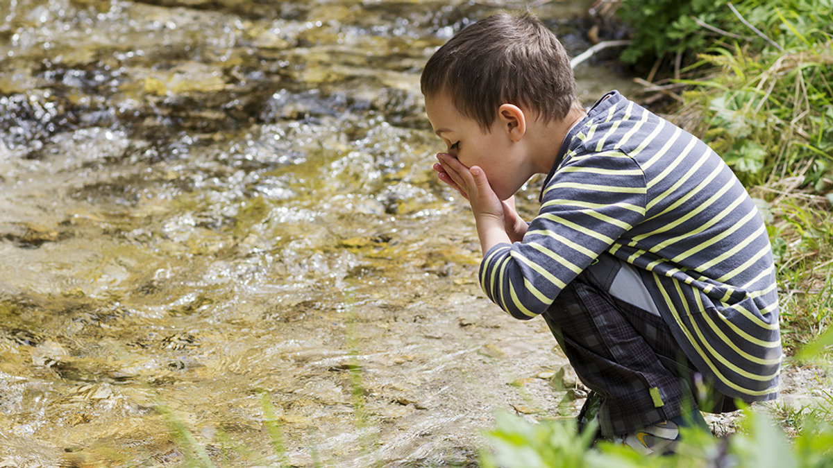 WEB-MEME-EN-MOTHER-ANGELICA-Pavla-Shutterstock