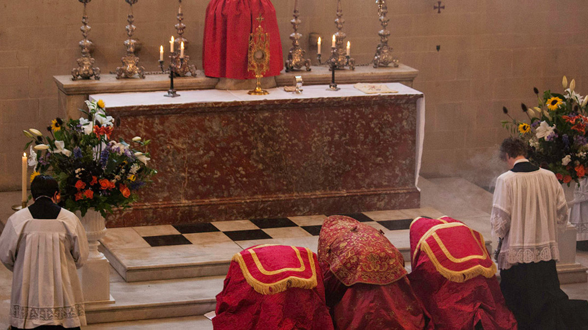WEB3-ORDINARIATE-EUCHARIST-LITURGY-ADORATION-Fr Lawrence Lew, O.P.-CC
