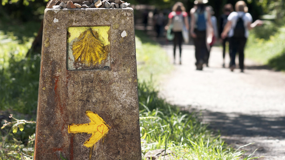COMPOSTELA WAY
