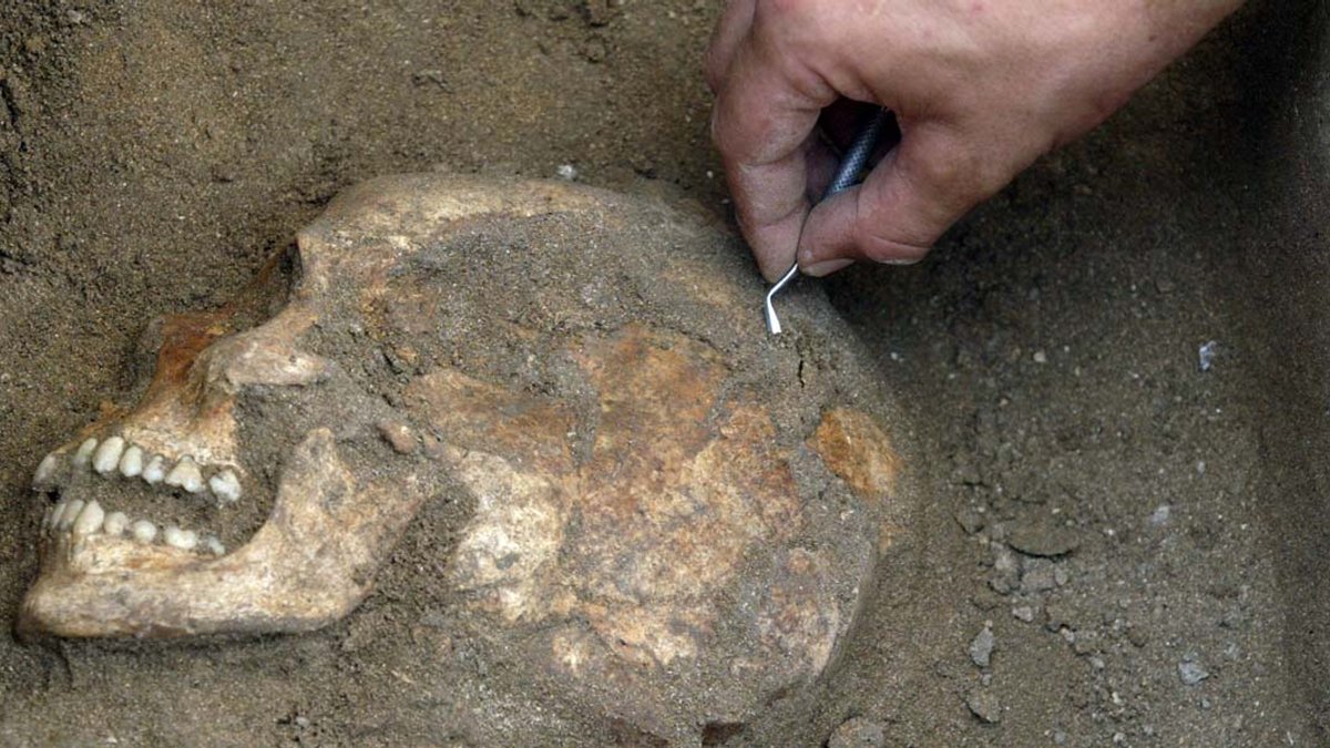 SKULL,SKELETON,ARCHEOLOGY