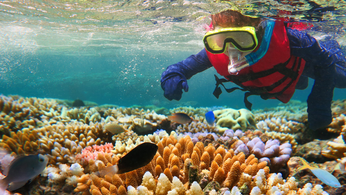GREAT BARRIER REEF