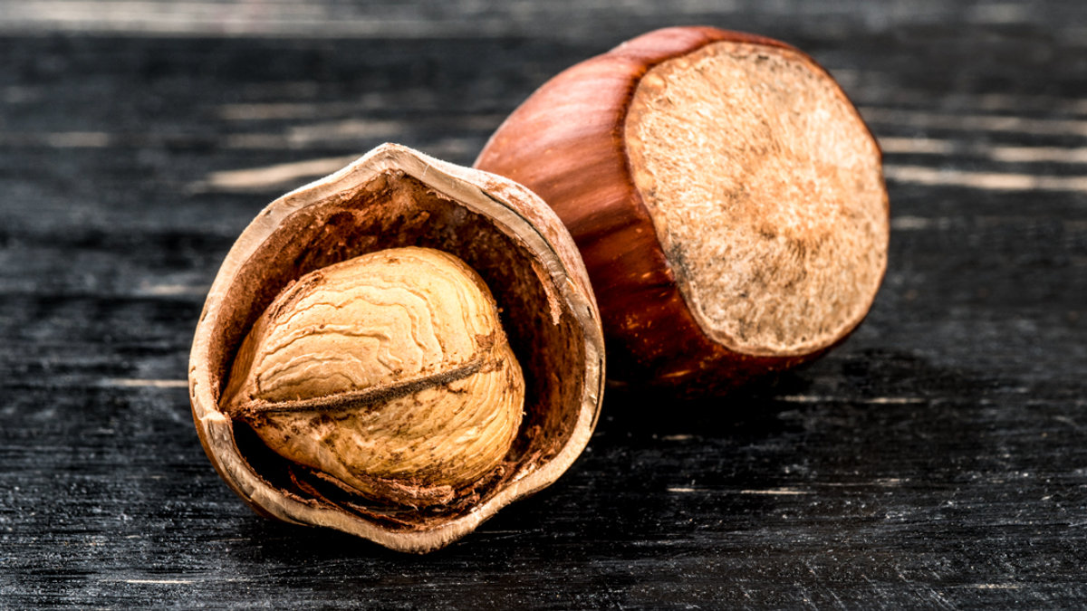 HAZELNUT,FILBERT
