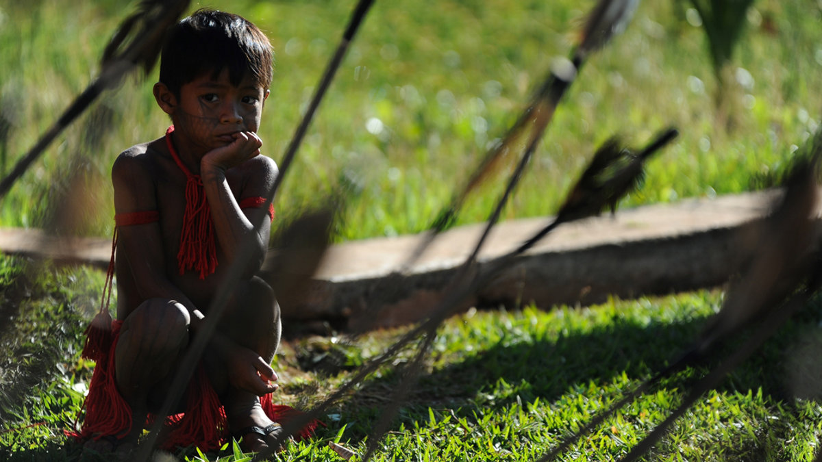 BRAZIL INDIGENOUS