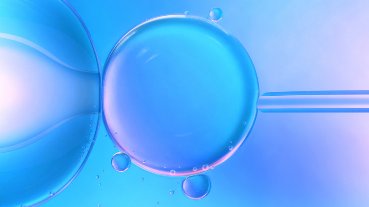 IN VITRO FERTILISATION