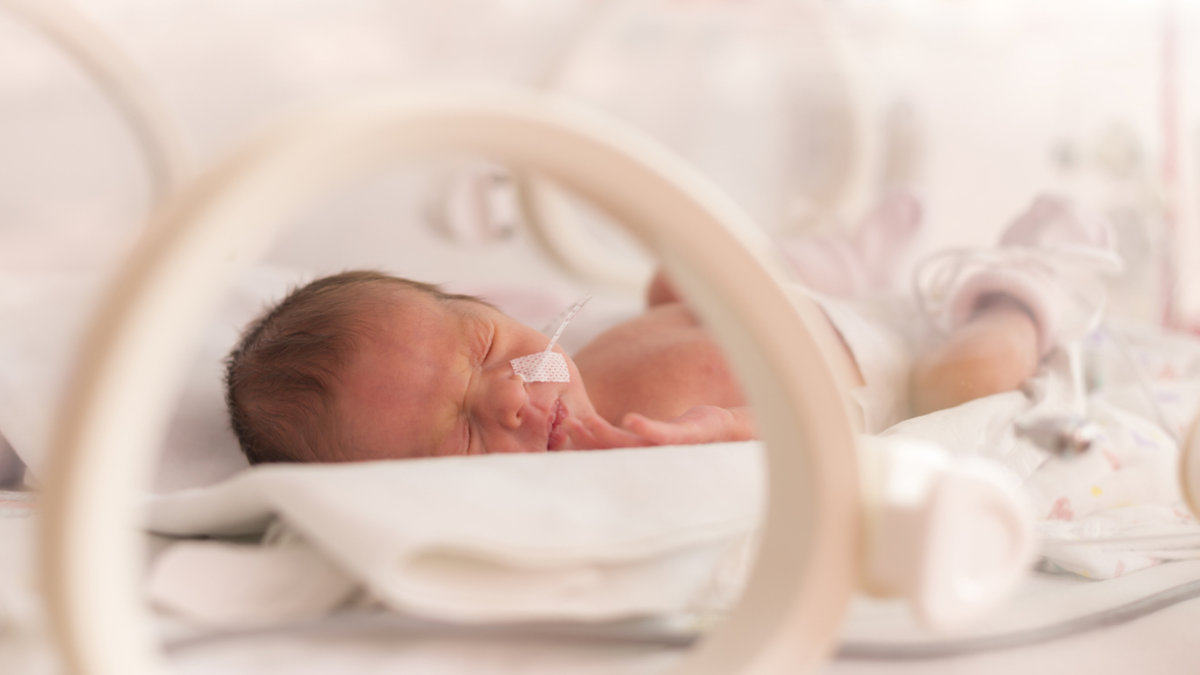 Bébé dans une couveuse