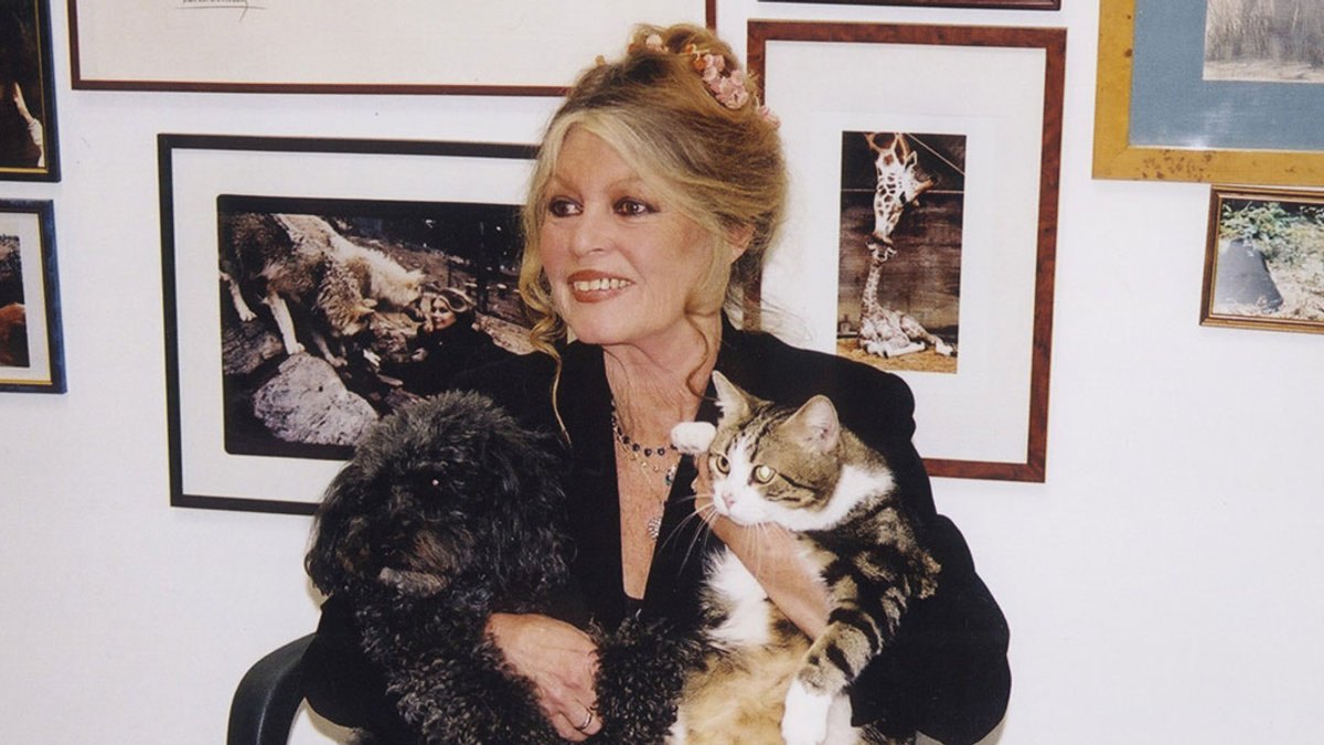 BARDOT