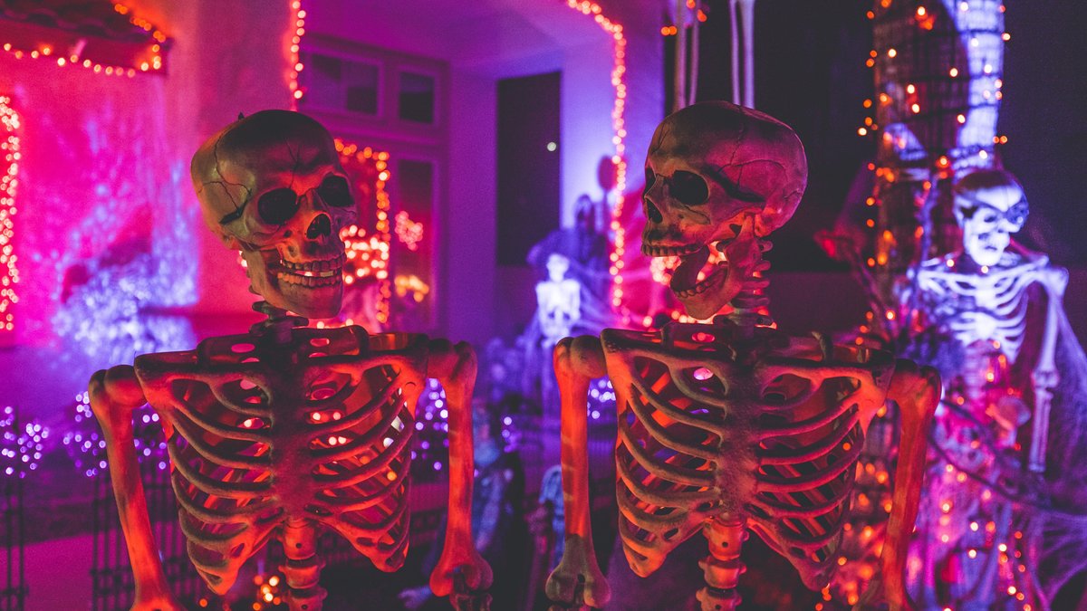 Skeletons_Celebrating_Photo by NeONBRAND on Unsplash