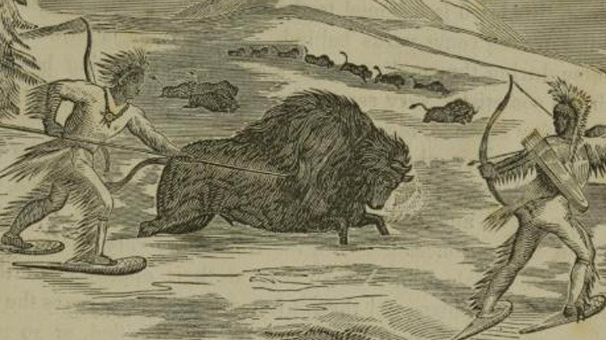 INDIANS,HUNTING,BUFFALO
