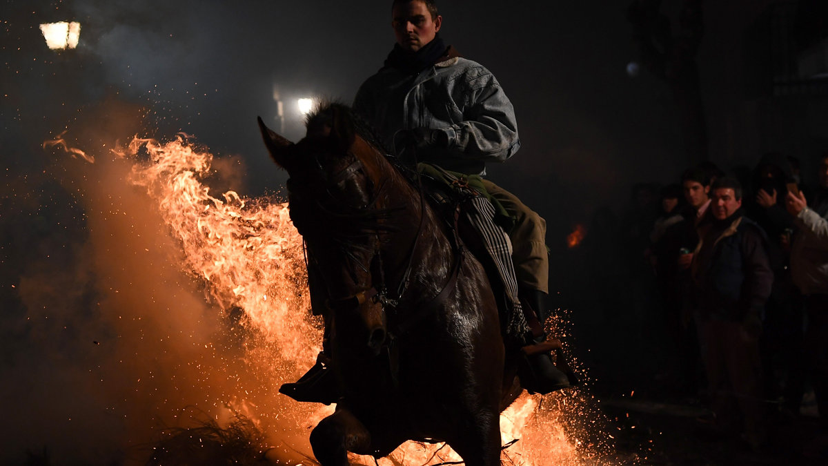 LUMINARIAS FESTIVALS