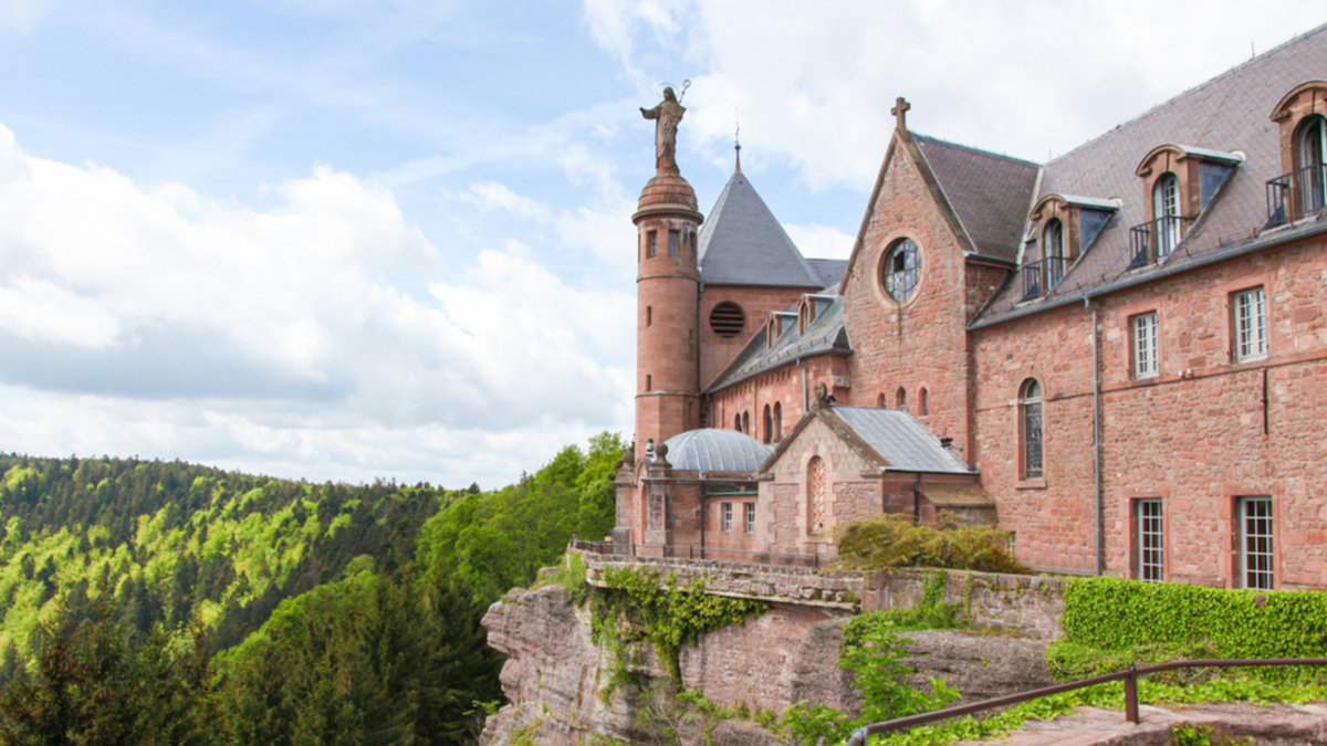 shutterstock_shutterstock_347571719