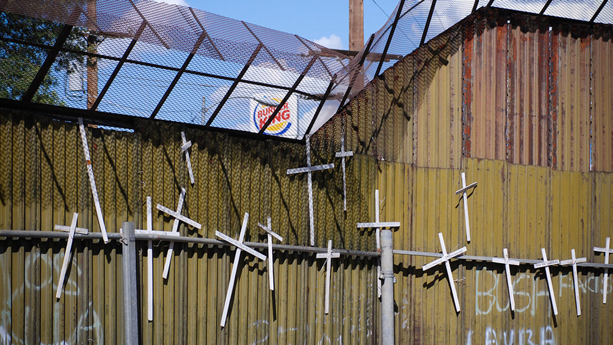 CROSSES