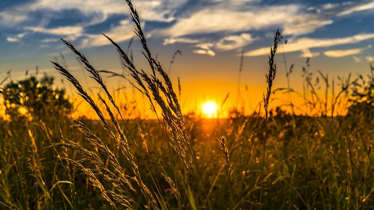 summer-2391348_960_720