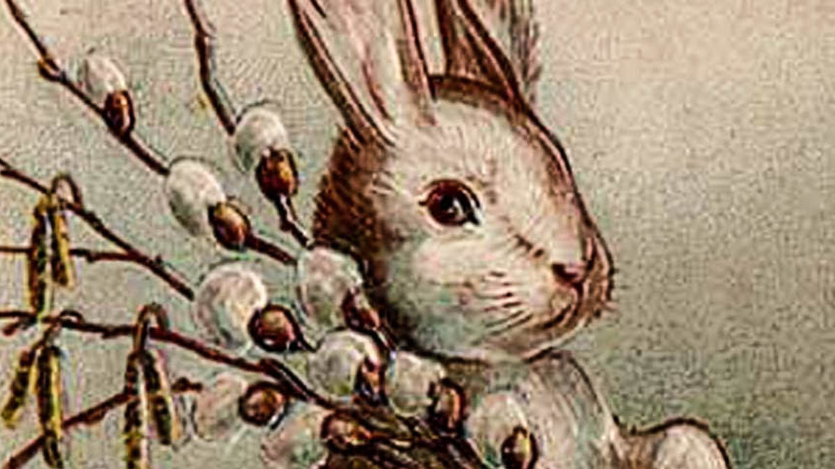 EASTER BUNNY