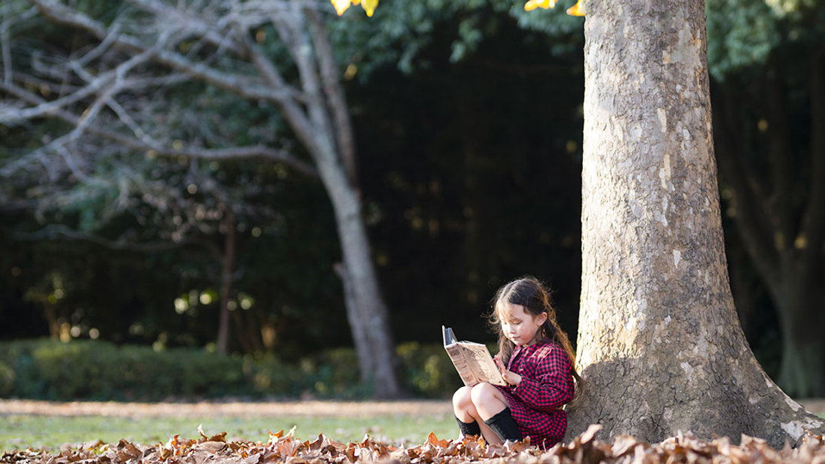 READING