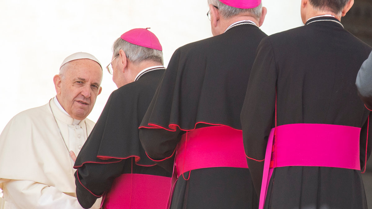 POPE FRANCIS GENERAL AUDIENCE