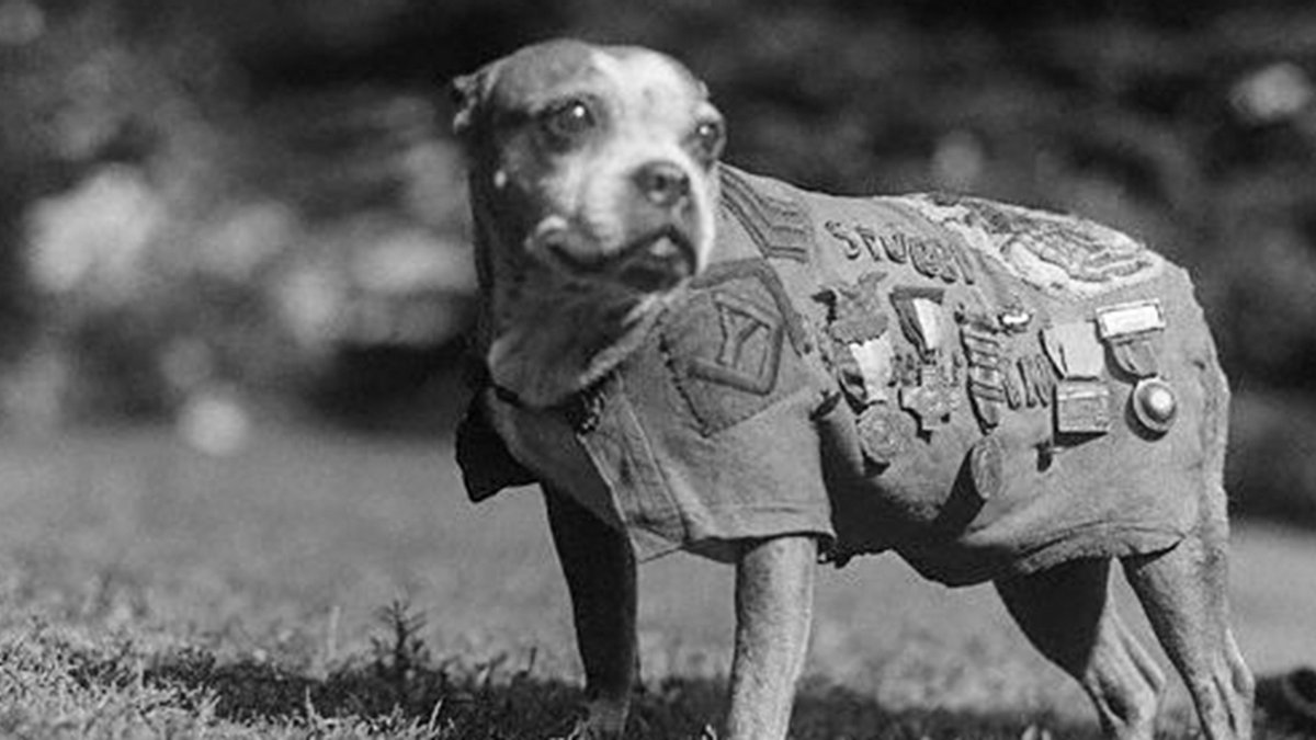 SERGEANT STUBBY