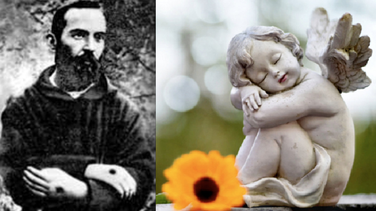 Padre Pio Angelo Custode