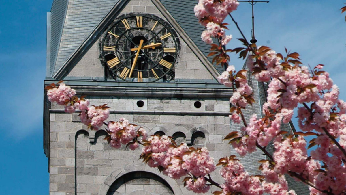 OPEN CHURCHES DAY