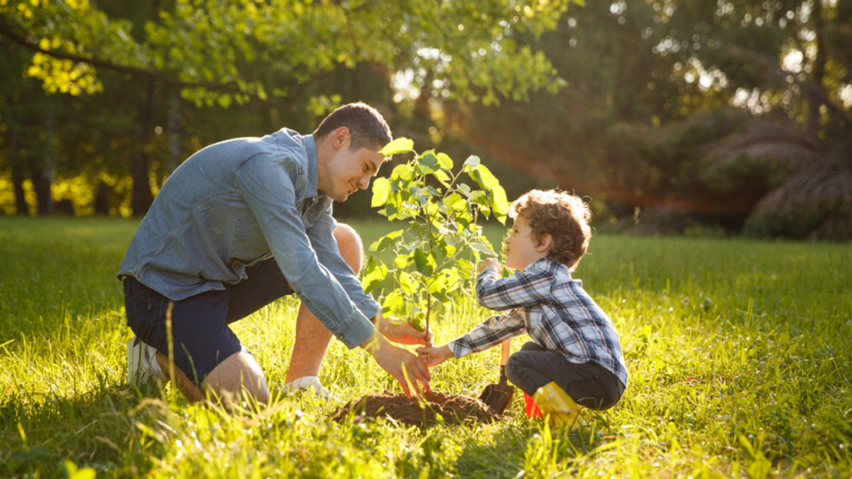 web3-father-son-plant-tree-ecology-planet-shutterstock