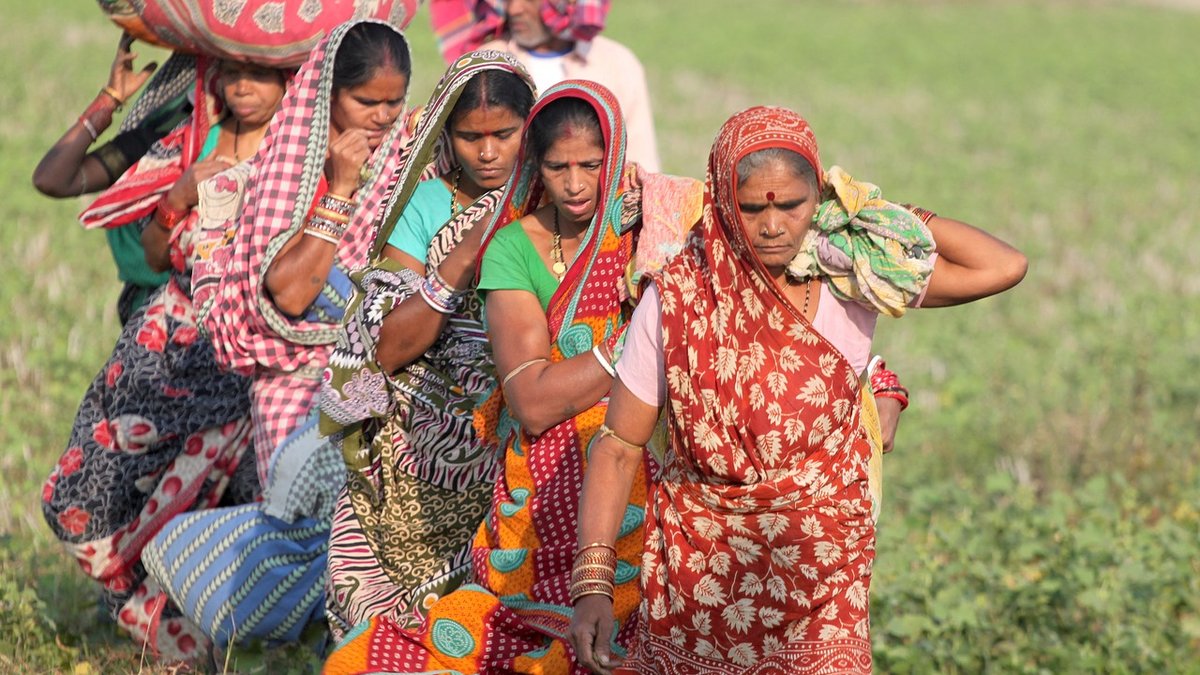 odisha-2368224_1280.jpg