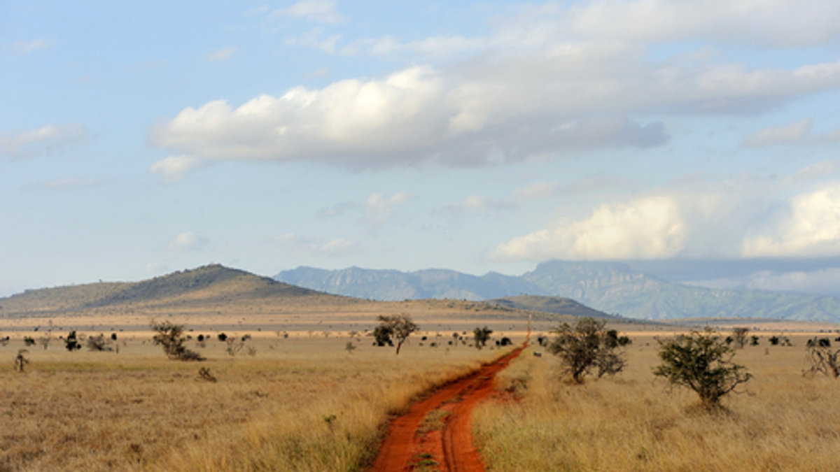 SAVANA, KENYA, AFRICA