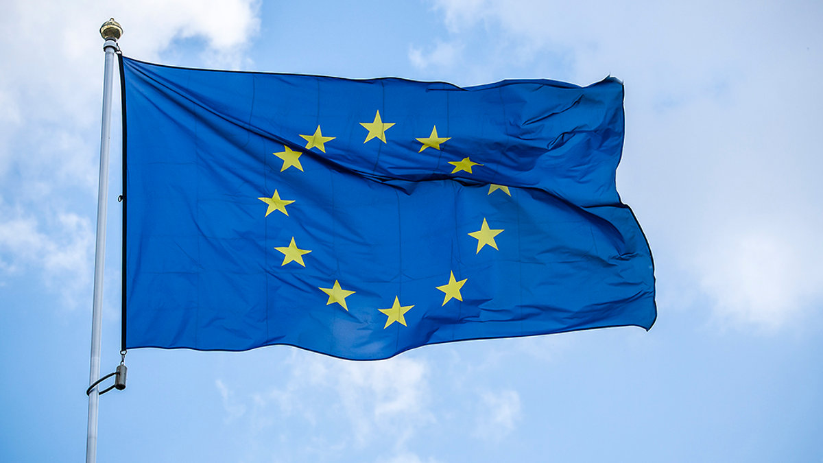 EUROPEAN UNION; FALG