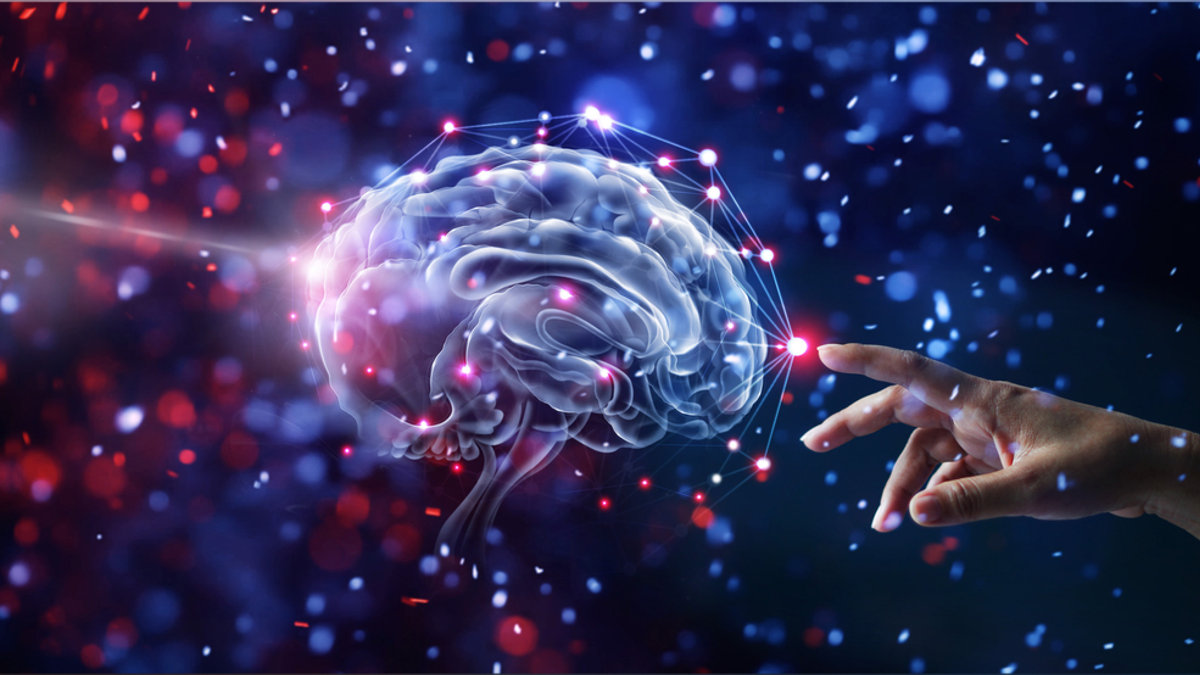 brain-shutterstock_762804592