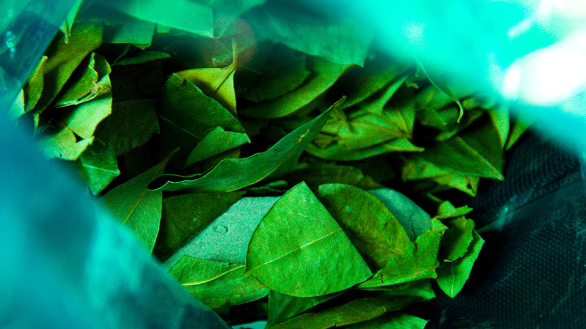 COCA