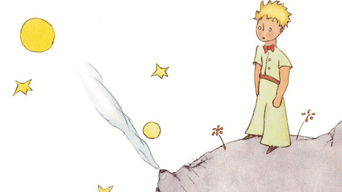 LE PETIT PRINCE