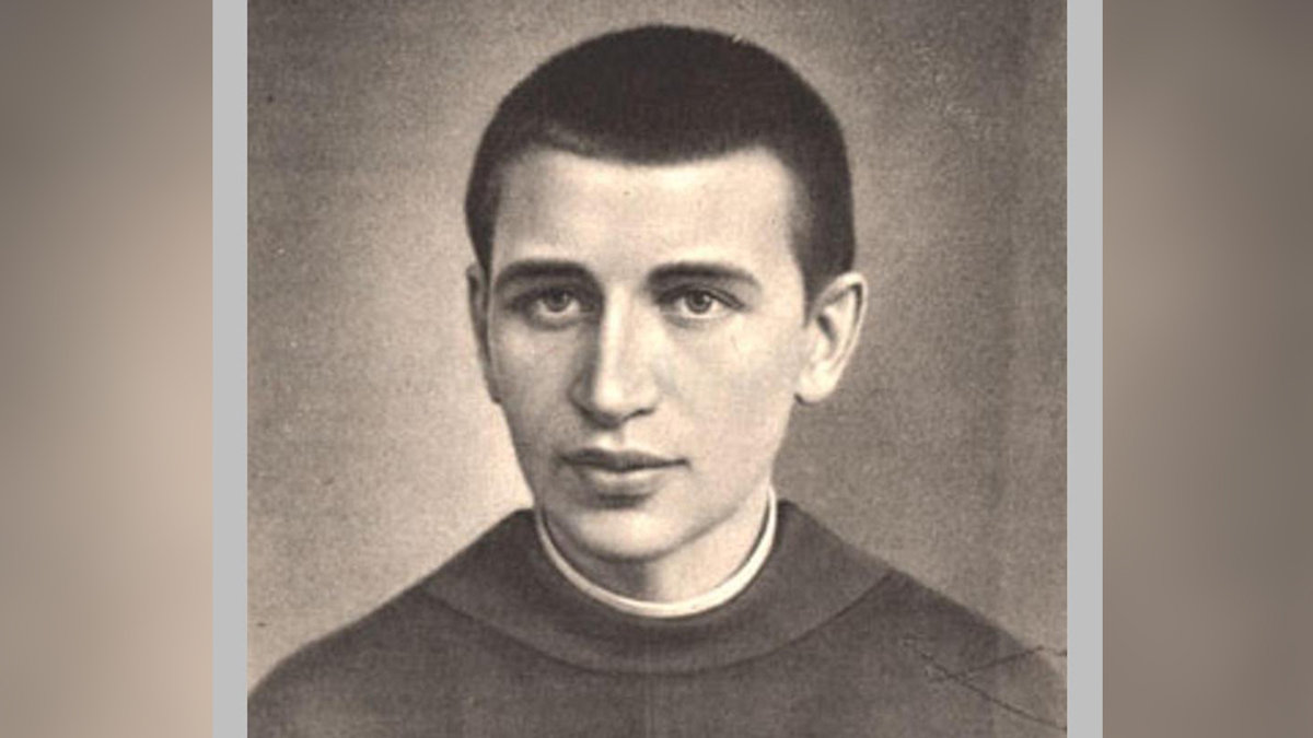 WENANTY KATARZYNIEC