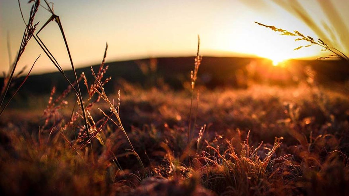sun