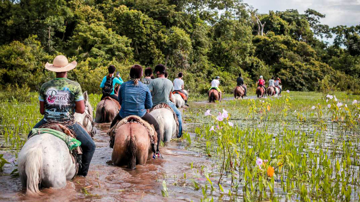 PANTANAL