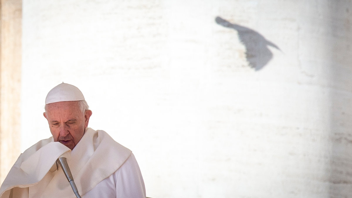 POPE FRANCIS GENERAL AUDIENCE