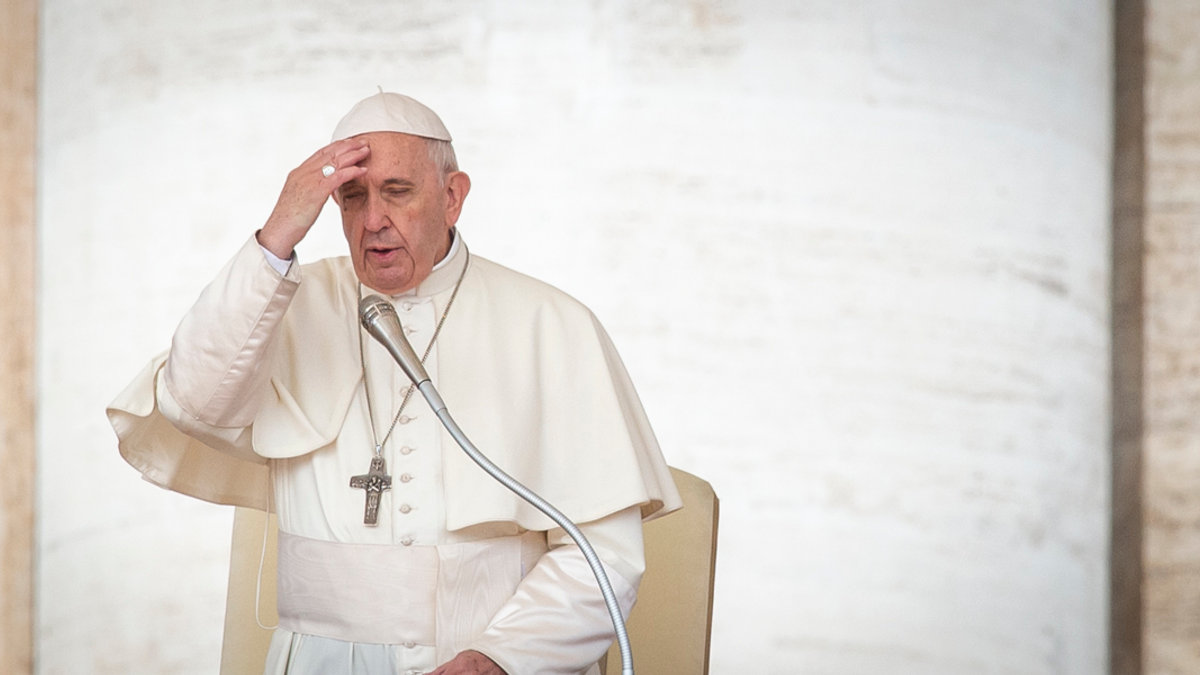 POPE FRANCIS AUDIENCE
