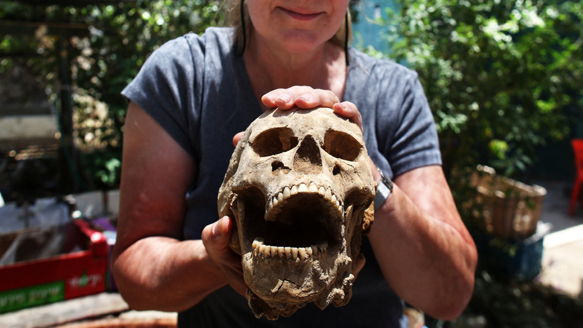 SKULL,GOLIATH