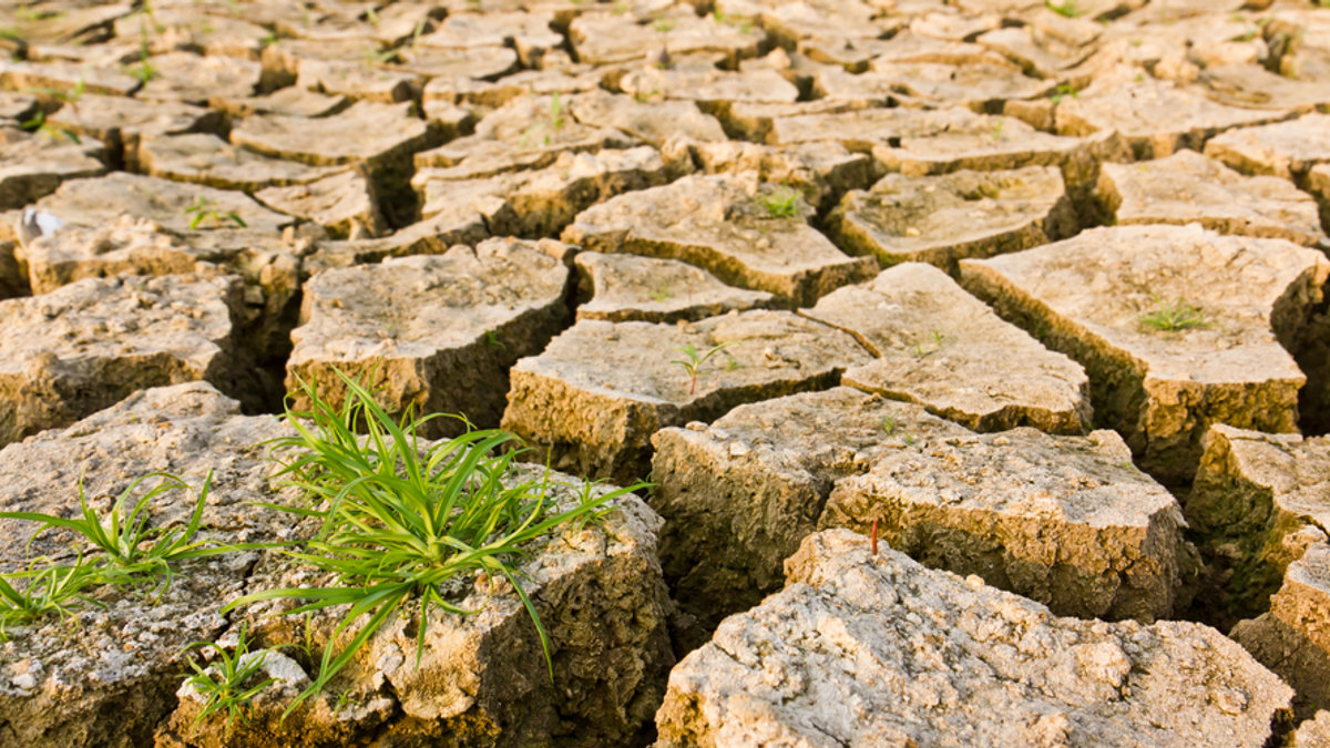 CRACKED EARTH
