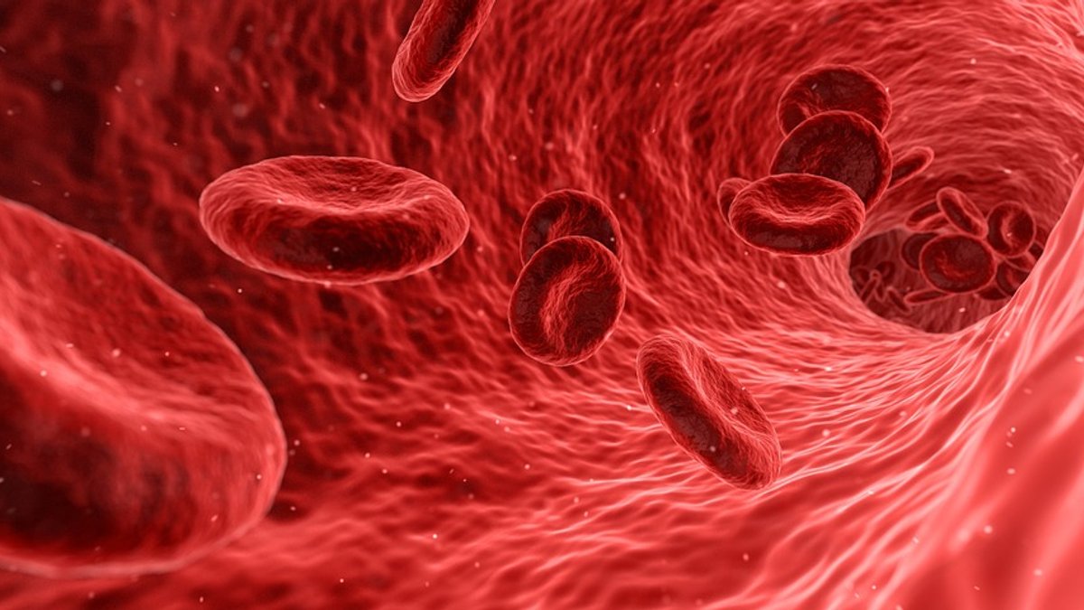 blood-1813410_960_720