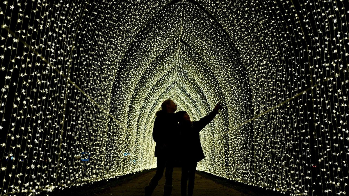 ILUMINACJE ŚWIĄTECZNE W KRÓLEWSKICH OGRODACH W KEW
