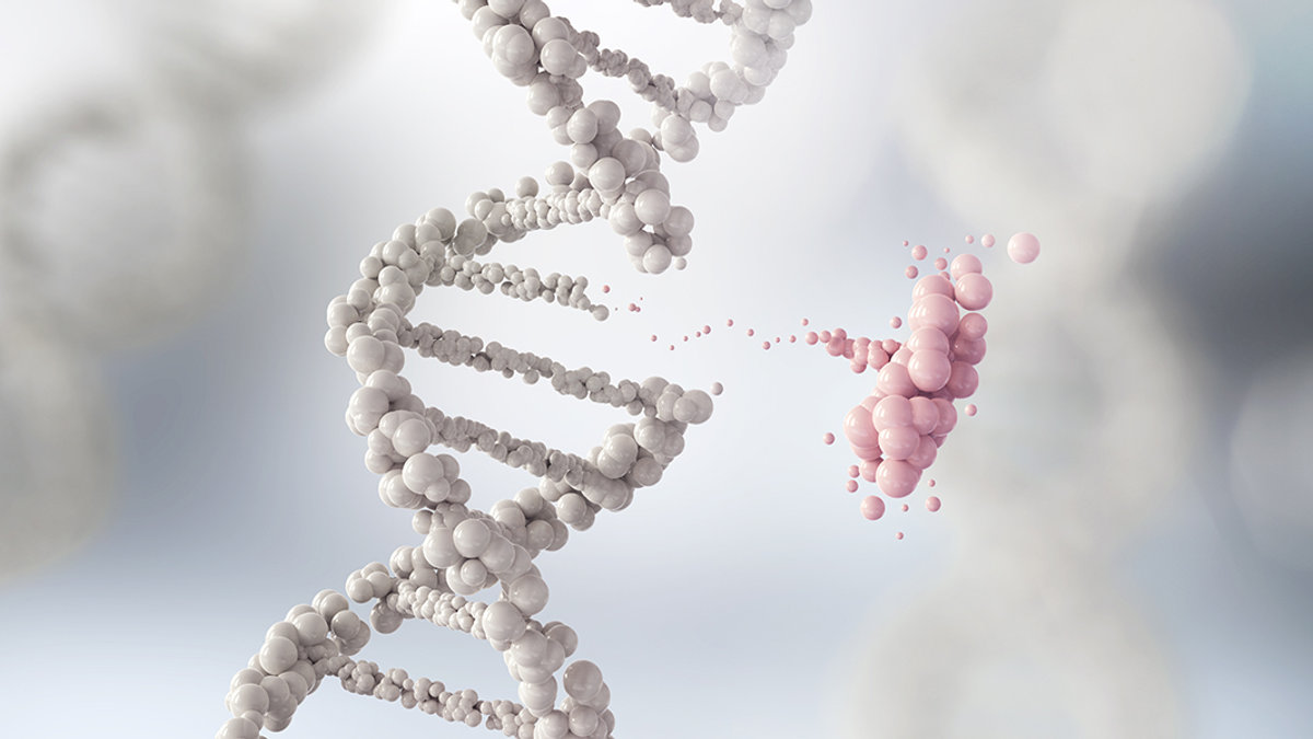 DNA