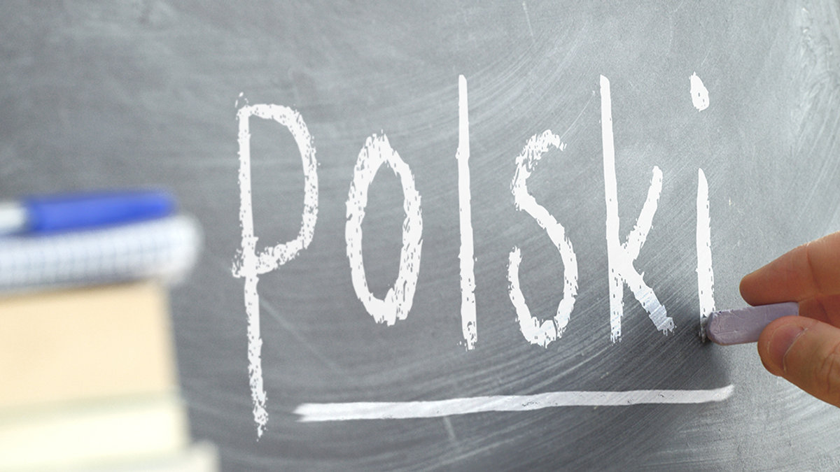 JĘZYK POLSKI